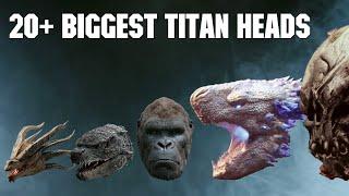 Monsterverse Titans Biggest Head SIZE COMPARISON 2024