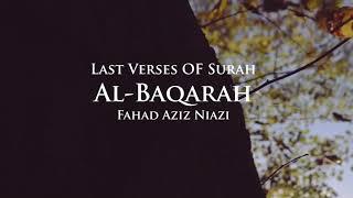 Last 2 Verses/Ayaat Surah Al-Baqarah - Fahad Aziz Niazi أواخر سورة البقرة  - ‏ فهد عزيز نيازي ￼￼￼￼￼