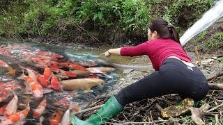 Unique Fishing | Catching a Lot of Fish in Drying Puddles with an Amazing Technique - Nana Fishing