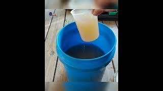 Make Liquid Fertilizer from Kitchen Scraps || Gardening Hack