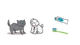 Ralston Vet's Pet Dental Tips!