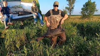 Trapping a Nuisance Beaver that is Backing up a Drainage Ditch.