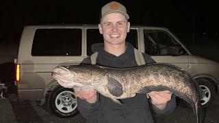 Astro Van Camping in MARYLAND and Bowfishing INVASIVE SNAKEHEADS!!!