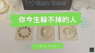 -Tinya Tarot-你今生躲不掉的人無時間限制