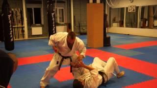 Uechi-ryu karate do / jiyu kumite Uechi ryu / free sparring