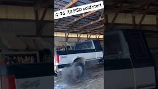 RAW 7.3 POWERSTROKE COLD START LAST COLD START 