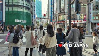 TOKYO CITY Walking Tour - Shinjuku, Kabukicho, Cental Road, Shinjuku-sanchome, Japan, Travel, 4K