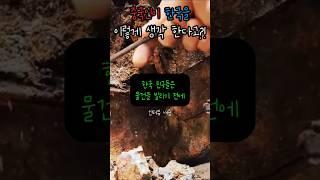 한국과 중국의 사생활 수준 차이를 알고 화들짝 놀란 외국인