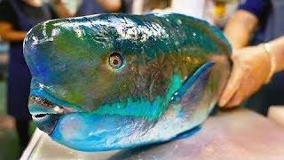 Japan Street Food   GIANT HUMPHEAD PARROTFISH Sashimi Okinawa Japanese1