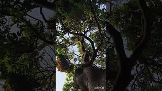 v6 vlog302 #nature #newvideo  #vivekkushwaha #viral video #onyoutube@ vivek kushwaha