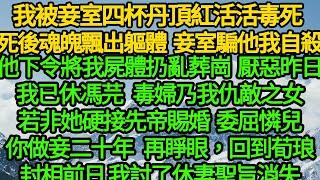 我被妾室四杯丹頂紅活活毒死 死後魂魄飄出軀體，妾室騙他我自殺，他下令將我屍體扔亂葬崗，昨日我已休馮芫 這毒婦乃我仇敵之女，若非她硬接先帝賜婚 委屈你憐兒 再睜眼，回到荀琅封相前半月，我討了休妻聖旨消失