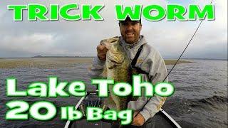 How to Fish a Texas Rigged Trick Worm - Lake Toho