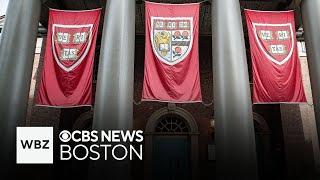 Trump administration "sucking everything they can out of Harvard," professor says