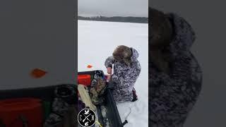 Зимняя рыбалка  Сборка жерлиц  Первый лед  Рыбалка с палаткой