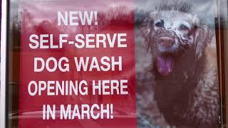 Animal Connection Self Serve Dog Wash