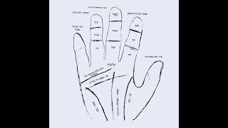 The Wisdom of Palm Reading Part 1 on Kabalah