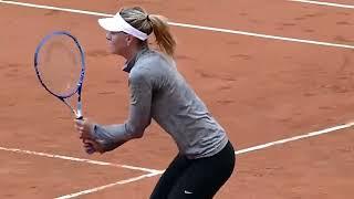 Gorgeous Maria Sharapova Hot Training in Leggings Tennis