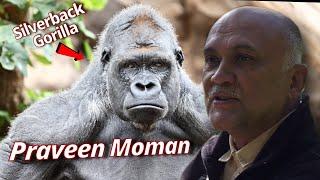 Gorilla Trekking in Rwanda with Visionary Conservationist Praveen Moman | Armchair Explorer