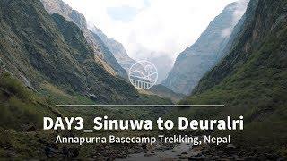 안나푸르나 트레킹 3일차 데우랄리까지 Full | Annapurna Trekking Day3  to Deuralri