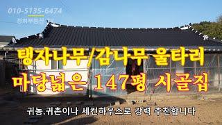 마당넓은 147평 시골주택 구경하기/ 탱자나무와 감나무  울타리 #완주시골주택 #완주농가주택 #완주전원주택 #완주저렴한세컨하우스