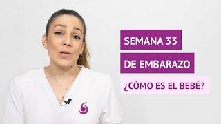 ¿Cómo es el bebé en la semana 33 de embarazo?