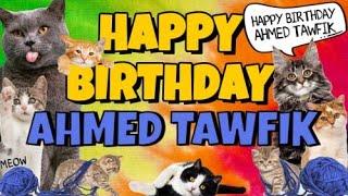Happy Birthday Ahmed Tawfik! Crazy Cats Say Happy Birthday Ahmed Tawfik (Very Funny)
