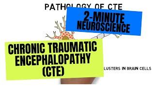 2-Minute Neuroscience: Chronic Traumatic Encephalopathy (CTE)