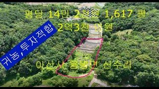 아산시 음봉면 싼땅