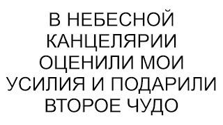 В небесной канцелярии оценили мои усилия и подарили второе чудо