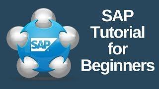 SAP Tutorial for Beginners