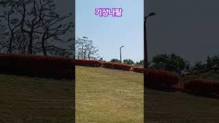 기상나팔 잡음없는트럼펫소리