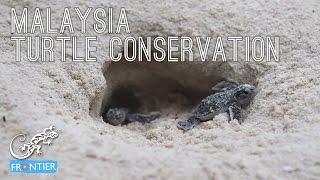 Malaysia Turtle Conservation