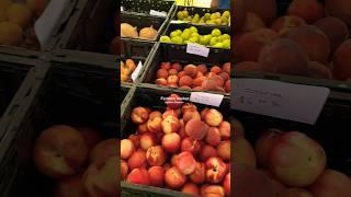 Uptown farmers market! Phoenix AZ! #travel #adventure