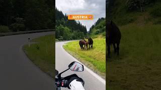 Motorcycle Touring in Austria  BMW GS 1250 #motorcycletravel #travelshorts #bmwgs1250 #austria