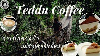 Teddu Coffee คาเฟ่กลางป่า แม่กำปองเชียงใหม่　メーカムポーン村　吊橋と猫ちゃんおすすめカフェ