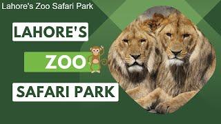 Lahore's Zoo Safari Park | Kids' Joyful Day at Safari in Lahore Amazing place for picnic