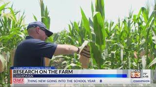 Popcorn Research at UIUC | Celebrating Central Illinois Farmers