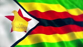 Zimbabwe Flag Waving | Zimbabwean Flag Waving | Zimbabwe Flag Screen