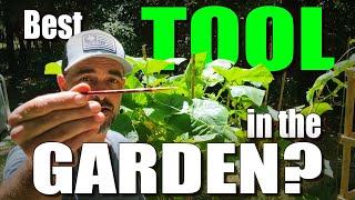 Hand Pollinating Tomatoes, Cucumbers, Zucchini and more! 3 Ways to increase your garden yields!