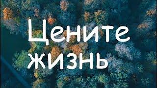 Цените жизнь