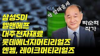 박순혁 작가의 2차전지 종목진단 : 삼성SDI, 엘앤에프, 대주전자재료, 롯데에너지머티리얼즈, 엔켐, 레이크머티리얼즈, 에코앤드림 등 (박순혁 작가 3부)