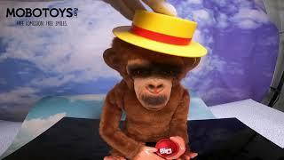 MOBOTOYS 1232 - Dice Throwing Monkey