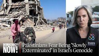 Report from Gaza: Palestinians Feel They Are Being "Slowly Exterminated" in Israel's Genocide