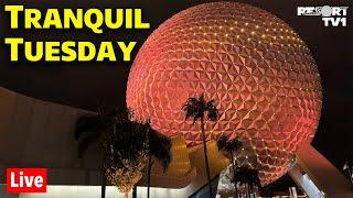 Live: The First Tranquil Tuesday of 2025 at Epcot - Walt Disney World Live Stream - 1-7-25