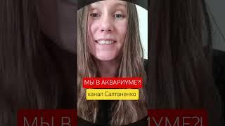 МЫ В АКВАРИУМЕ? #аквариум #акварель #мирпрекрасен #духовноеразвитие #духовныйрост #иисус #познание