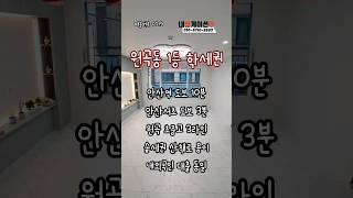 #안산#선부동#원곡동#安产#Ansan#안산신축빌라#선부동신축빌라#원곡동신축빌라#신축빌라#신축빌라분양#外国人贷款#安山房地产#내집게이션#집바구니#집사부#bts#블랙핑크#태양#쇼츠