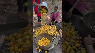 GOA most famous Feni (liquor)  #tranding #goa #goabeach #vines #feni #goafamousplace #food #india