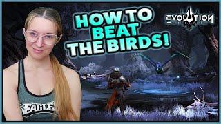 Beating the Birds in Twilight - Manuallying for Success!  Eternal Evolution 