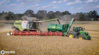 Ernte 2024/ Claas Lexion 780 Mähdrescher und John Deere 6R mit Hawe Überladewagen /Gerste dreschen.