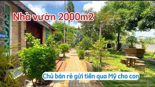 Nhà vườn đẹp gần chợ Bình Chánh chủ bán rẻ để gửi tiền cho con bên Mỹ | nhà vườn 2000m2 saigonhouse